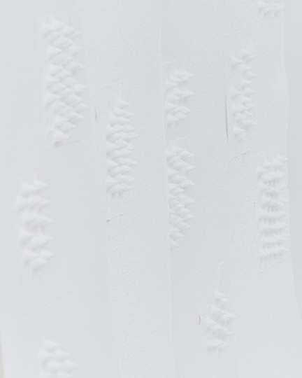 topographies of the domestic field of hidden desire